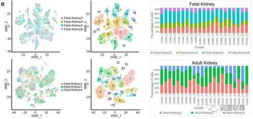 42分Nature頂刊單細胞測序綜述 刷新人類細胞圖譜認知，揭示下一波研究熱點